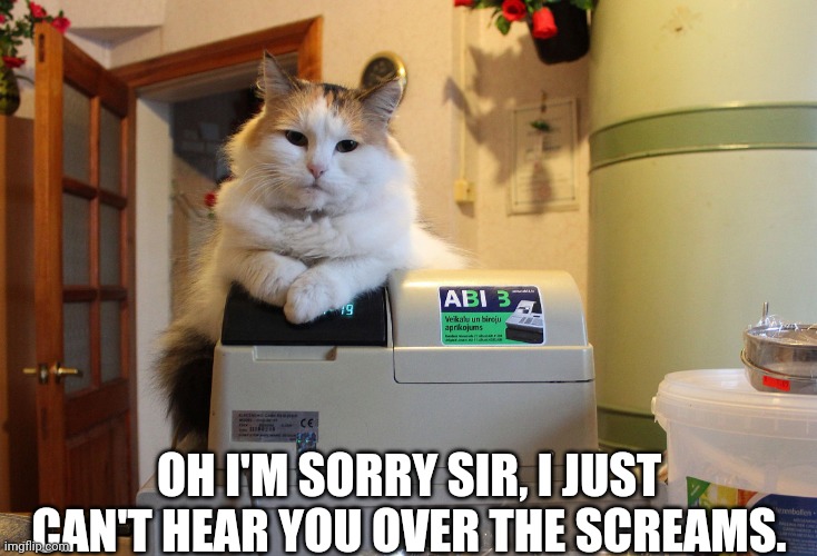 cat cashier | OH I'M SORRY SIR, I JUST CAN'T HEAR YOU OVER THE SCREAMS. | image tagged in cat cashier | made w/ Imgflip meme maker