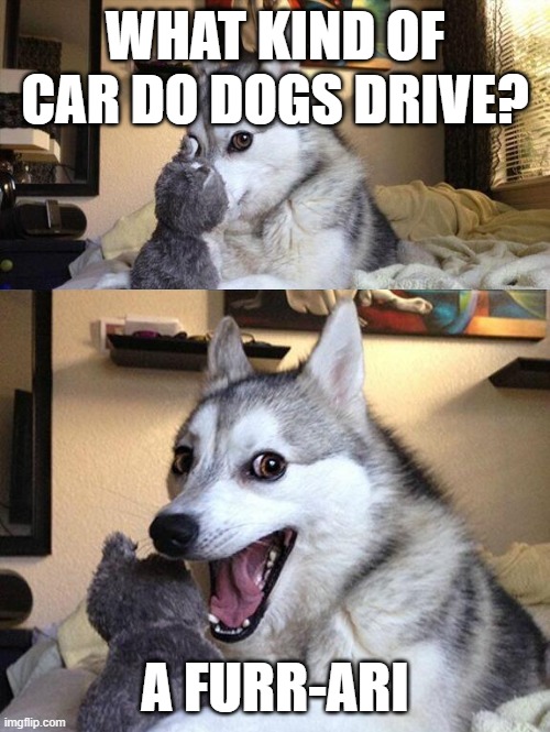 Bad Pun Husky | WHAT KIND OF CAR DO DOGS DRIVE? A FURR-ARI | image tagged in bad pun husky | made w/ Imgflip meme maker