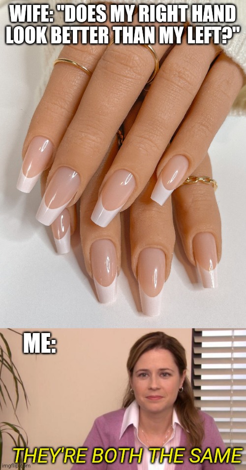 EVERYTIME | WIFE: "DOES MY RIGHT HAND LOOK BETTER THAN MY LEFT?"; ME:; THEY'RE BOTH THE SAME | image tagged in they're the same picture isolated,wife,nails | made w/ Imgflip meme maker