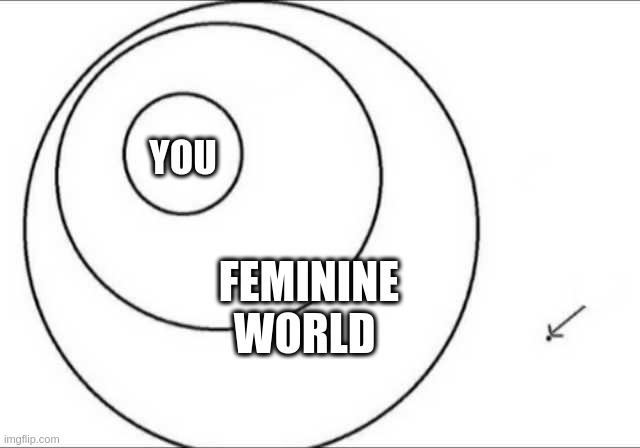 feminine | YOU; FEMININE WORLD | image tagged in venn inter circles diagram | made w/ Imgflip meme maker