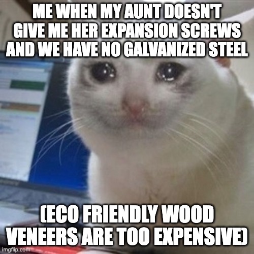 It's the worst right | ME WHEN MY AUNT DOESN'T GIVE ME HER EXPANSION SCREWS AND WE HAVE NO GALVANIZED STEEL; (ECO FRIENDLY WOOD VENEERS ARE TOO EXPENSIVE) | image tagged in crying cat,youtube,youtuber,apartment,house | made w/ Imgflip meme maker