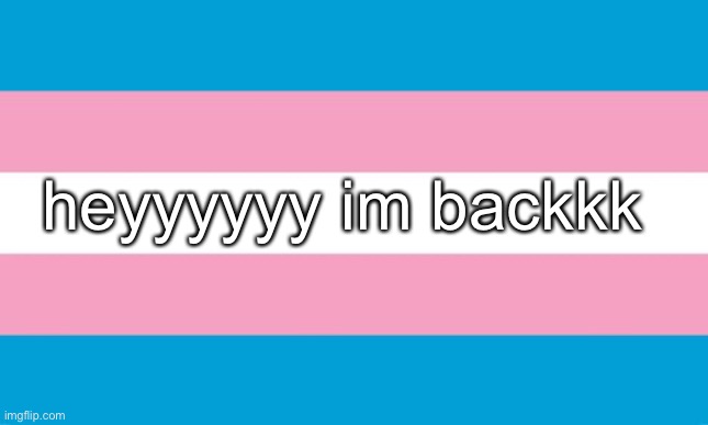 ong my screen protector is making it so hard to type | heyyyyyy im backkk | image tagged in transgender flag | made w/ Imgflip meme maker