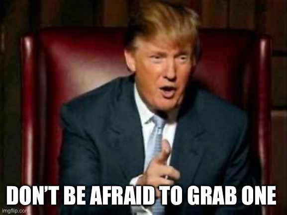Donald Trump | DON’T BE AFRAID TO GRAB ONE | image tagged in donald trump | made w/ Imgflip meme maker