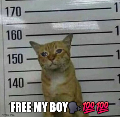FREE MY BOY | FREE MY BOY🗣💯💯 | image tagged in free my boy | made w/ Imgflip meme maker