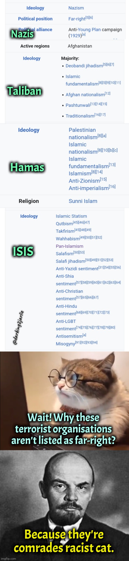 Oppressed Nazis are comrades | Nazis; Taliban; Hamas; ISIS; @darking2jarlie; Wait! Why these terrorist organisations aren't listed as far-right? Because they're comrades racist cat. | image tagged in research cat,lenin,communism,terrorism,marxism,taliban | made w/ Imgflip meme maker
