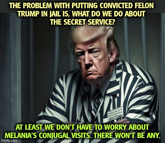 She'll be long gone. | THE PROBLEM WITH PUTTING CONVICTED FELON 
TRUMP IN JAIL IS, WHAT DO WE DO ABOUT 
THE SECRET SERVICE? AT LEAST WE DON'T HAVE TO WORRY ABOUT MELANIA'S CONJUGAL VISITS. THERE WON'T BE ANY. | image tagged in trump,convicted felon,jail,prison,secret service,melania | made w/ Imgflip meme maker