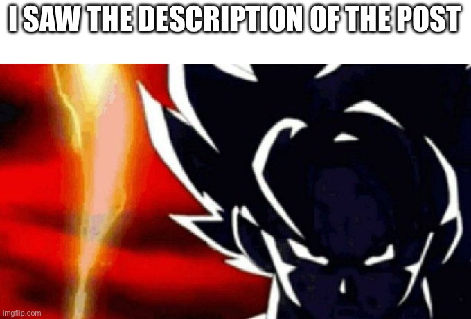 Goku Lightning | I SAW THE DESCRIPTION OF THE POST | image tagged in goku lightning | made w/ Imgflip meme maker