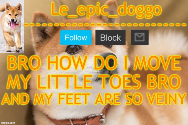 epic doggo's temp back in old fashion | BRO HOW DO I MOVE MY LITTLE TOES BRO; AND MY FEET ARE SO VEINY | image tagged in epic doggo's temp back in old fashion | made w/ Imgflip meme maker