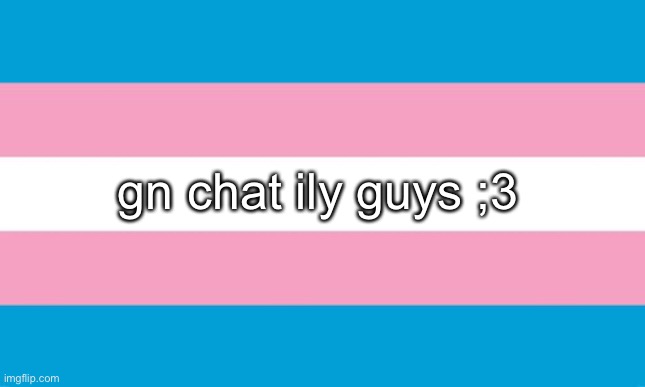 VERY special gn to lala <3333 | gn chat ily guys ;3 | image tagged in transgender flag | made w/ Imgflip meme maker