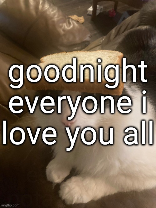 gn | goodnight everyone i love you all; especially potassium <3 | image tagged in bread cat | made w/ Imgflip meme maker