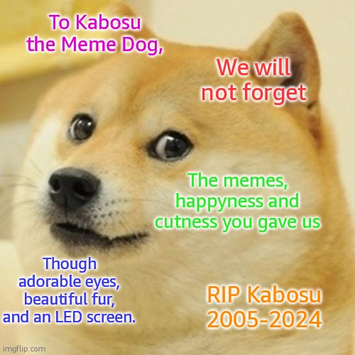 Doge Meme | To Kabosu the Meme Dog, We will not forget; The memes, happyness and cutness you gave us; Though adorable eyes, beautiful fur, and an LED screen. RIP Kabosu
2005-2024 | image tagged in memes,doge | made w/ Imgflip meme maker