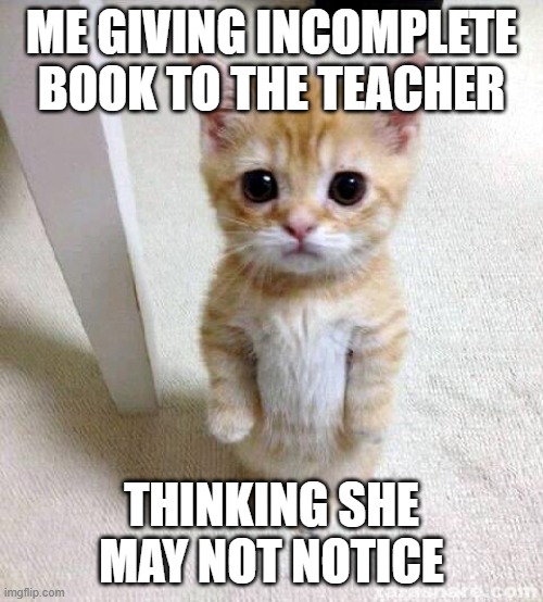 Cute Cat Meme | ME GIVING INCOMPLETE BOOK TO THE TEACHER; THINKING SHE MAY NOT NOTICE | image tagged in memes,cute cat | made w/ Imgflip meme maker