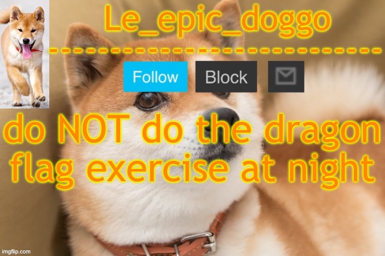 epic doggo's temp back in old fashion | do NOT do the dragon flag exercise at night | image tagged in epic doggo's temp back in old fashion | made w/ Imgflip meme maker