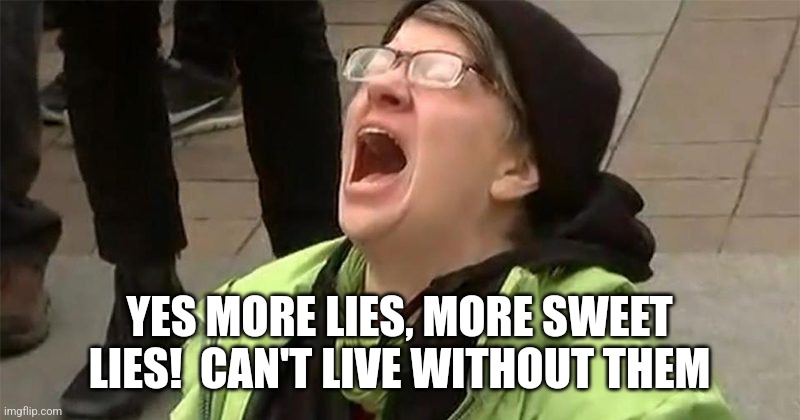 crying liberal | YES MORE LIES, MORE SWEET LIES!  CAN'T LIVE WITHOUT THEM | image tagged in crying liberal | made w/ Imgflip meme maker