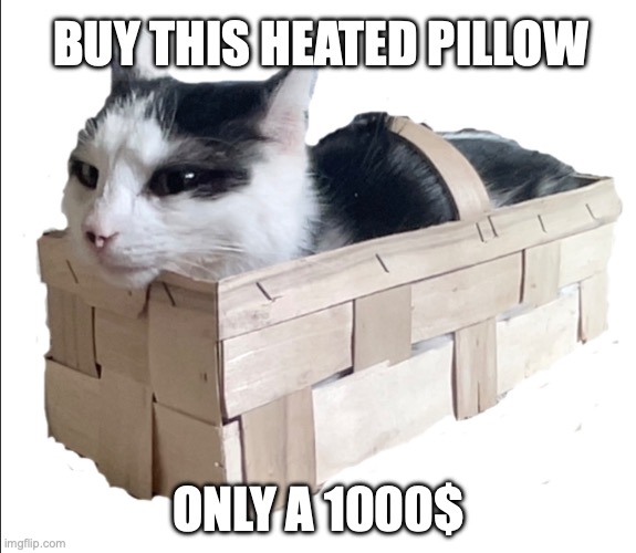 A special offer especially for you. | BUY THIS HEATED PILLOW; ONLY A 1000$ | image tagged in for sale,cats,cat | made w/ Imgflip meme maker