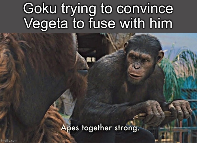 Funny | Goku trying to convince Vegeta to fuse with him | image tagged in ape together strong,dragon ball z,memes,funny | made w/ Imgflip meme maker