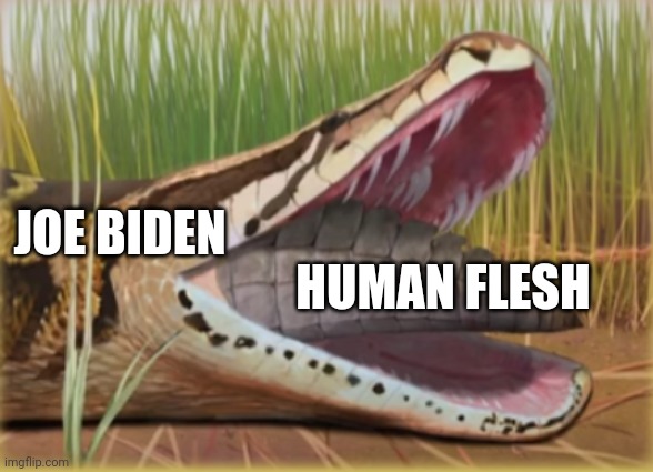 Who Would Win Vore | HUMAN FLESH; JOE BIDEN | image tagged in who would win vore | made w/ Imgflip meme maker