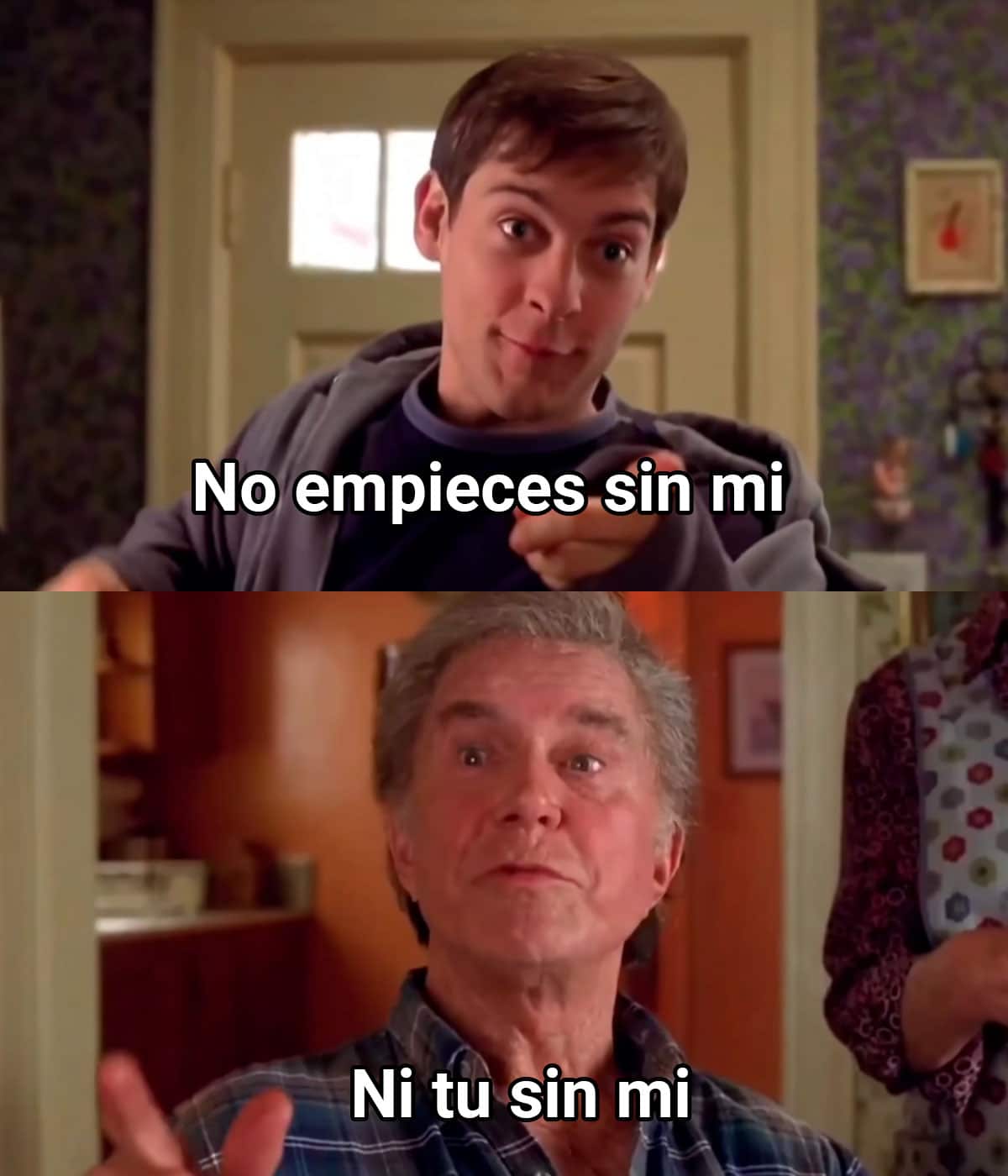 High Quality No empieces sin mi Blank Meme Template
