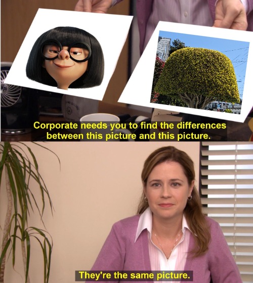 They're The Same Picture Meme | image tagged in memes,they're the same picture | made w/ Imgflip meme maker