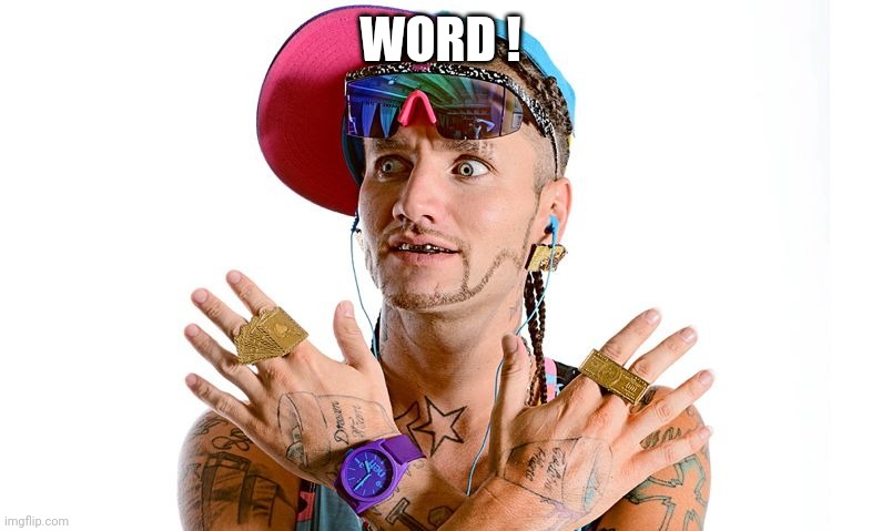 white rapper riff raff | WORD ! | image tagged in white rapper riff raff | made w/ Imgflip meme maker