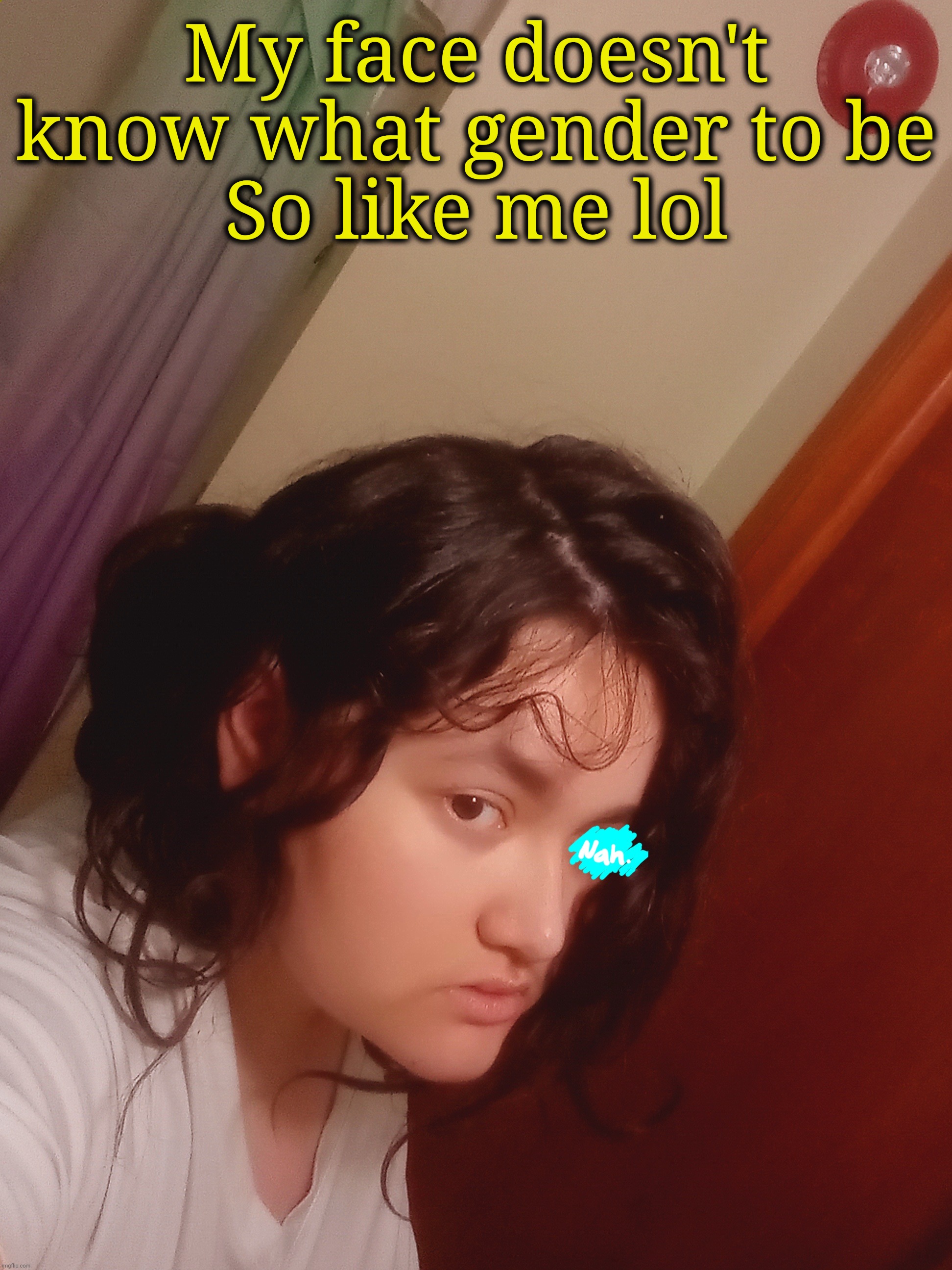 Why the fuck are my shoulders so broad | My face doesn't know what gender to be
So like me lol | made w/ Imgflip meme maker