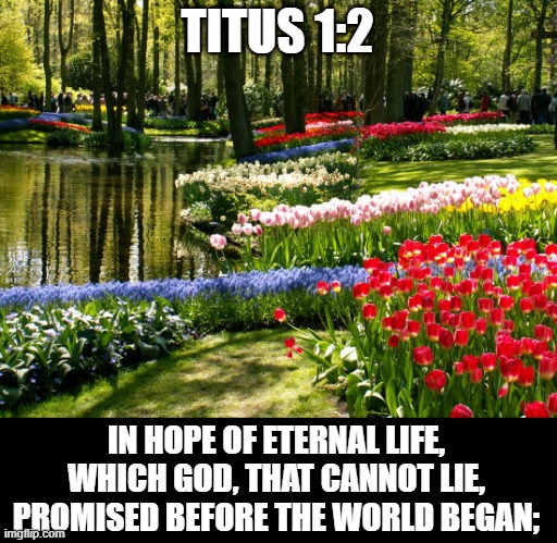 Amen! | TITUS 1:2; IN HOPE OF ETERNAL LIFE, WHICH GOD, THAT CANNOT LIE, PROMISED BEFORE THE WORLD BEGAN; | image tagged in may scenery,bible,holy bible,bible verse | made w/ Imgflip meme maker