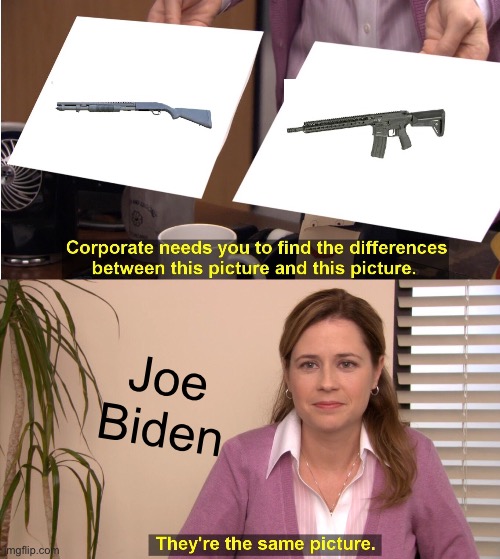 They're The Same Picture | Joe Biden | image tagged in memes,they're the same picture | made w/ Imgflip meme maker