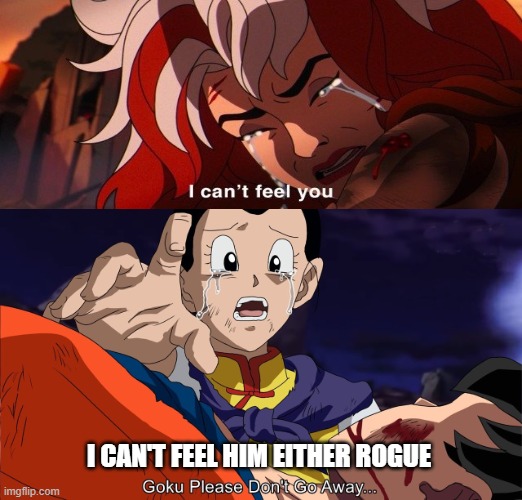 rogue and chi chi can't feel goku | I CAN'T FEEL HIM EITHER ROGUE | image tagged in chi chi cries,goku,x-men,feelings,died,dragon ball super | made w/ Imgflip meme maker