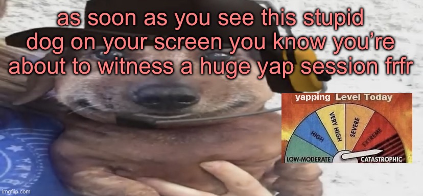 chucklenuts | as soon as you see this stupid dog on your screen you know you’re about to witness a huge yap session frfr | image tagged in chucklenuts | made w/ Imgflip meme maker