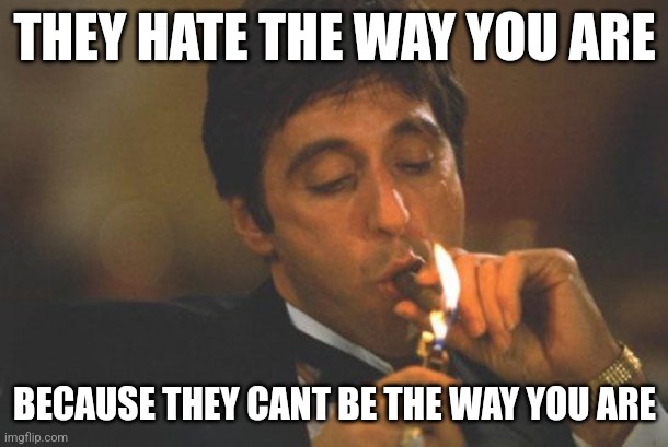 Scarface Serious | THEY HATE THE WAY YOU ARE; BECAUSE THEY CANT BE THE WAY YOU ARE | image tagged in scarface serious | made w/ Imgflip meme maker