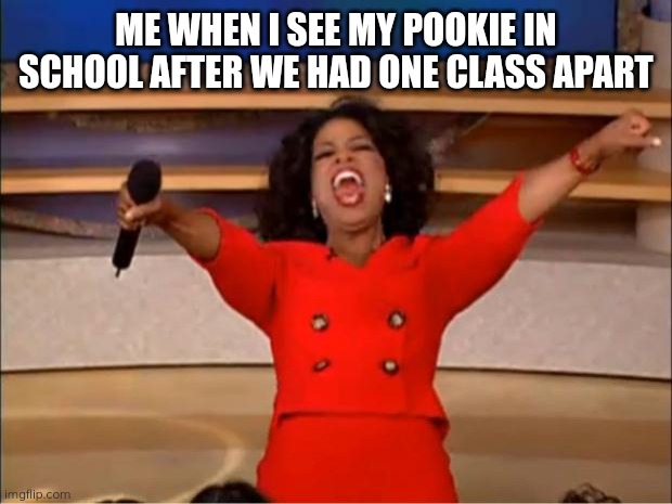 Pookie | ME WHEN I SEE MY POOKIE IN SCHOOL AFTER WE HAD ONE CLASS APART | image tagged in memes,oprah you get a | made w/ Imgflip meme maker