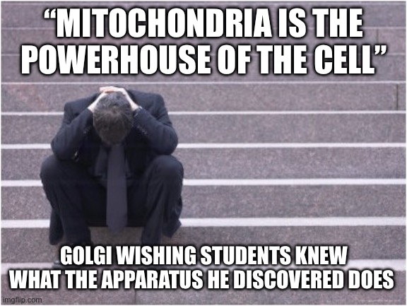 Yeah let’s learn about the rest of the Eukaryote cell | “MITOCHONDRIA IS THE POWERHOUSE OF THE CELL”; GOLGI WISHING STUDENTS KNEW WHAT THE APPARATUS HE DISCOVERED DOES | image tagged in dejected | made w/ Imgflip meme maker