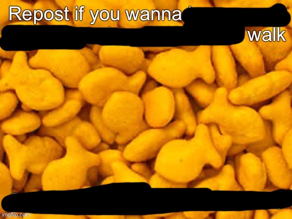 I could definitely go for a walk right now | image tagged in goldfish | made w/ Imgflip meme maker