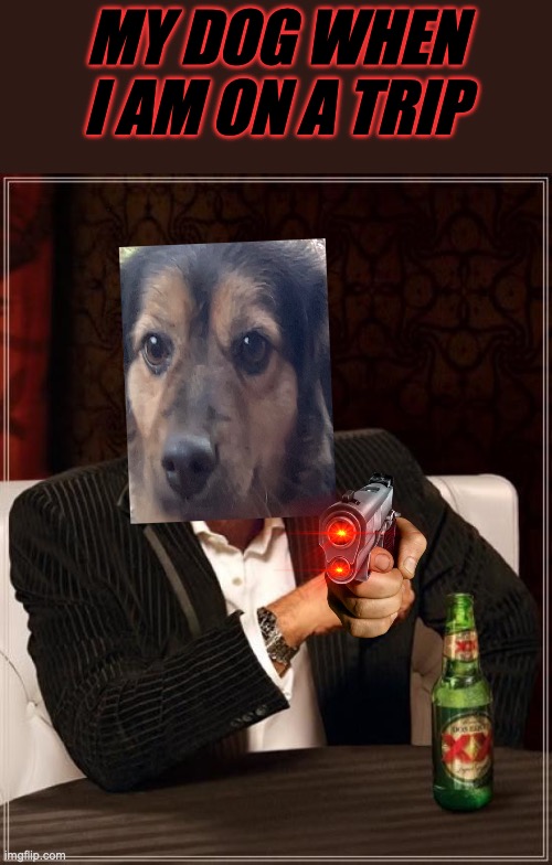 MY DOG IS A CRIMINAL KILLER | MY DOG WHEN I AM ON A TRIP | image tagged in dog,gun,killer | made w/ Imgflip meme maker