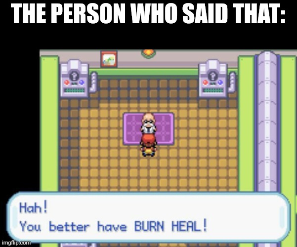 Pokemon you better have burn heal | THE PERSON WHO SAID THAT: | image tagged in pokemon you better have burn heal | made w/ Imgflip meme maker