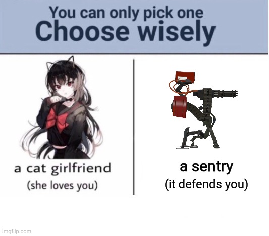 buildin a sentry | a sentry; (it defends you) | image tagged in choose wisely | made w/ Imgflip meme maker