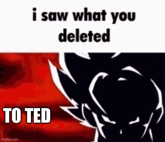 i saw what you deleted | TO TED | image tagged in i saw what you deleted | made w/ Imgflip meme maker
