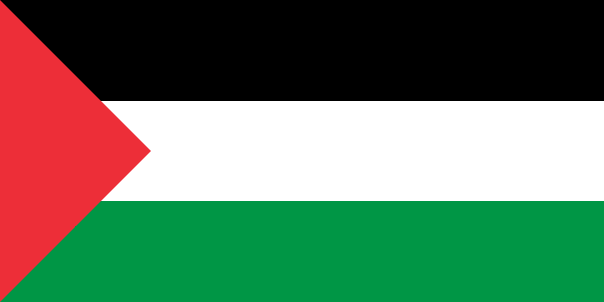 Palestine Flag Blank Meme Template