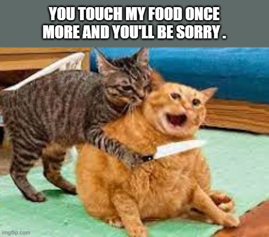 memes by Brad - cat with a knife on another cat - humor | YOU TOUCH MY FOOD ONCE MORE AND YOU'LL BE SORRY . | image tagged in funny,cats,funny cat memes,kittens,cute kittens,humor | made w/ Imgflip meme maker