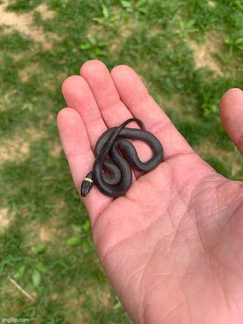 a goof | made w/ Imgflip meme maker