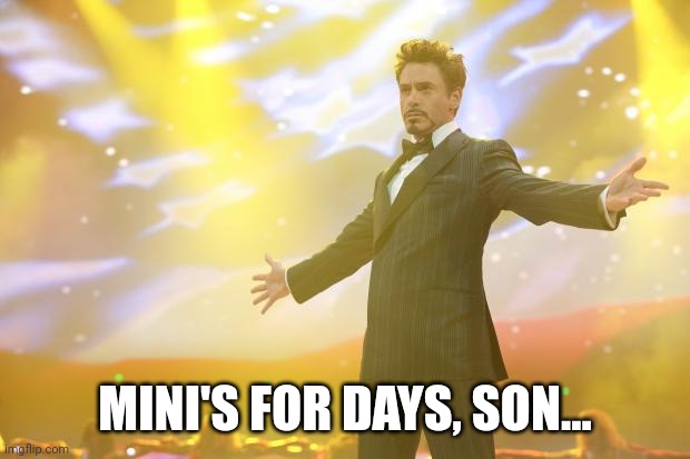 When you get a 3D printer | MINI'S FOR DAYS, SON... | image tagged in tony stark success | made w/ Imgflip meme maker