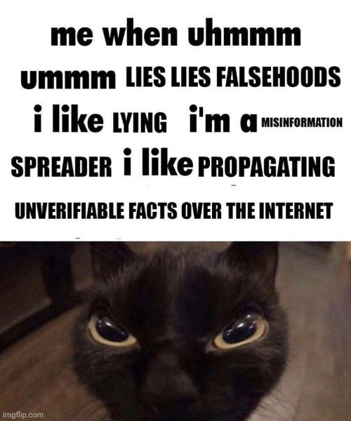 What a devious cat | image tagged in cats,memes,funny | made w/ Imgflip meme maker