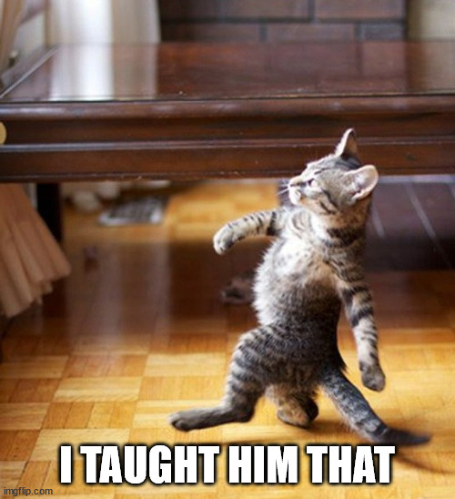 Cat Walking Like A Boss | I TAUGHT HIM THAT | image tagged in cat walking like a boss | made w/ Imgflip meme maker