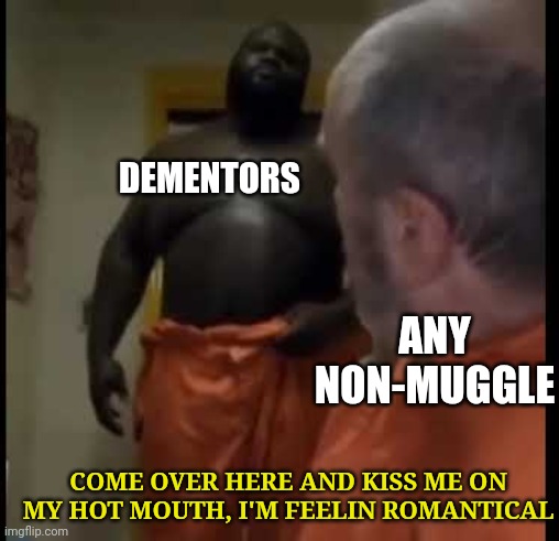 dementors kiss  | DEMENTORS; ANY NON-MUGGLE; COME OVER HERE AND KISS ME ON MY HOT MOUTH, I'M FEELIN ROMANTICAL | image tagged in come and kiss me on my hot mouth i'm feeling romantical | made w/ Imgflip meme maker