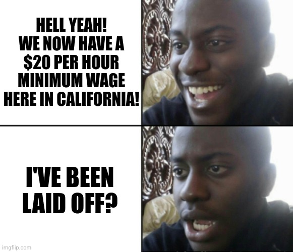 Remember kids, you only GET the wage if you are employed.  And the employer can still say goodbye. | HELL YEAH! WE NOW HAVE A $20 PER HOUR MINIMUM WAGE HERE IN CALIFORNIA! I'VE BEEN LAID OFF? | image tagged in happy / shock,california,minimum wage,money,reality,jobs | made w/ Imgflip meme maker