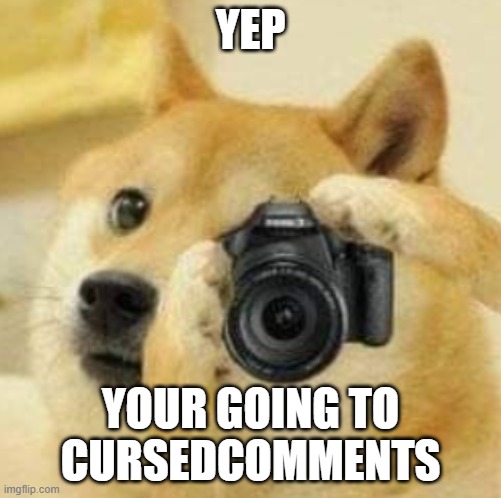 Doge taking a picture | YEP YOUR GOING TO CURSEDCOMMENTS | image tagged in doge taking a picture | made w/ Imgflip meme maker