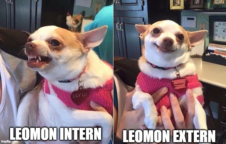 angry dog meme | LEOMON INTERN; LEOMON EXTERN | image tagged in angry dog meme | made w/ Imgflip meme maker