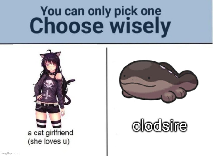 Choose wisely | clodsire | image tagged in choose wisely | made w/ Imgflip meme maker