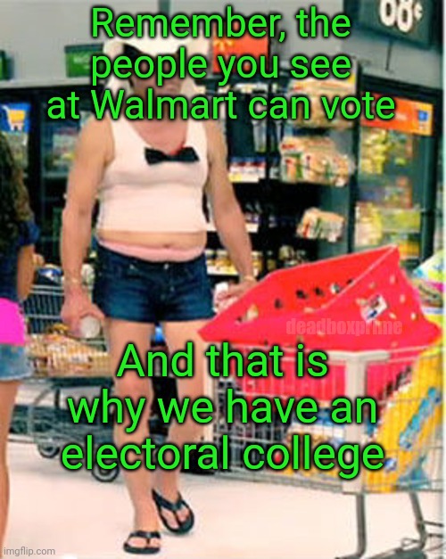 Remember, the people you see at Walmart can vote; deadboxprime; And that is why we have an electoral college | made w/ Imgflip meme maker