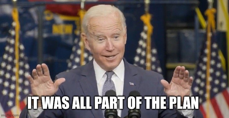 Cocky joe biden | IT WAS ALL PART OF THE PLAN | image tagged in cocky joe biden | made w/ Imgflip meme maker